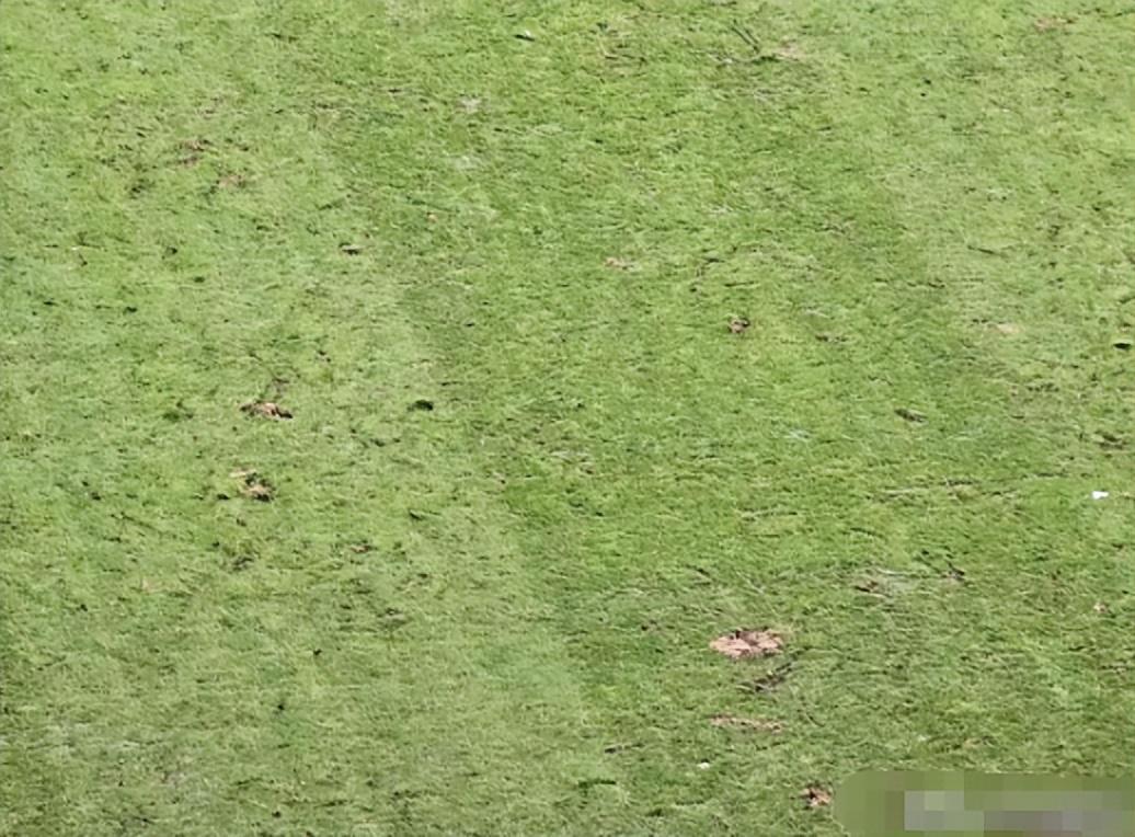 在线下注-被东帝汶球员嘲讽,U22国足遭狂批:恶心!有廉耻心不会踢成这样