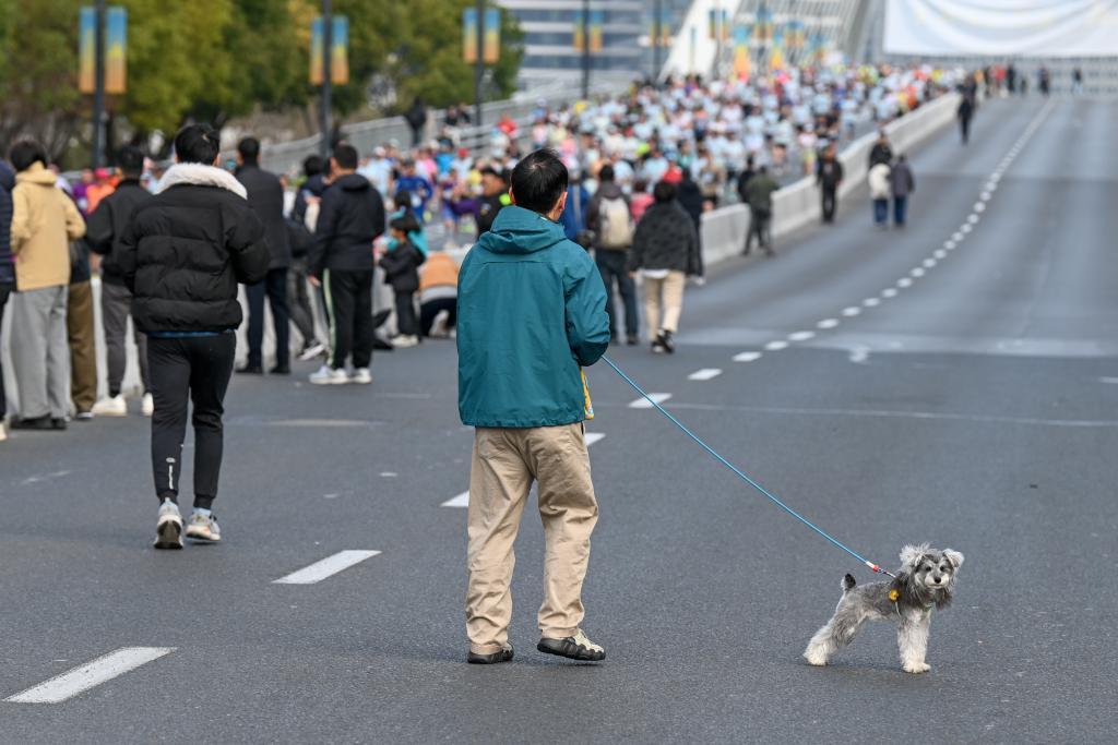 Baccarat Gaming-魔都眼｜世界跑者大聚会！上海半马吸引60多个国家和地区的选手